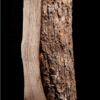 Sušený jasan - půl palety - 25 cm