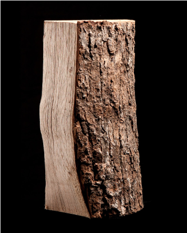 Sušený jasan - půl palety - 25 cm